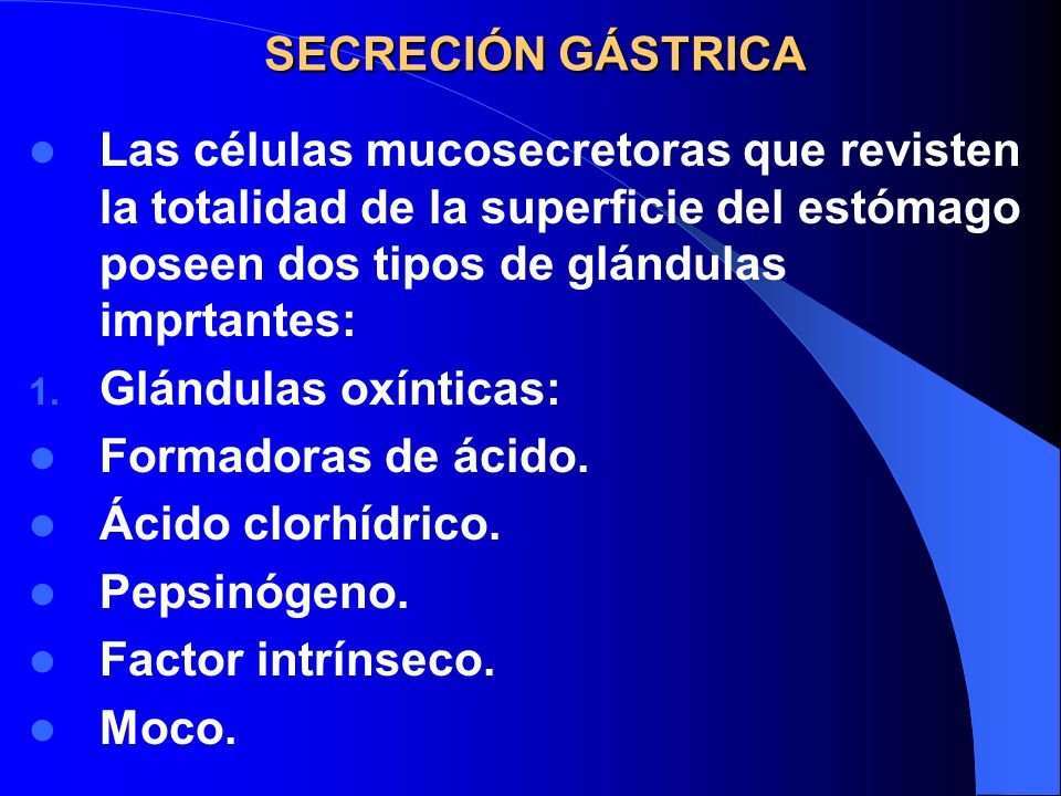 SECRECIÓN GÁSTRICA Las células mucosecretoras que revisten la totalidad de la superficie del estómago poseen dos tipos de glándulas imprtantes: