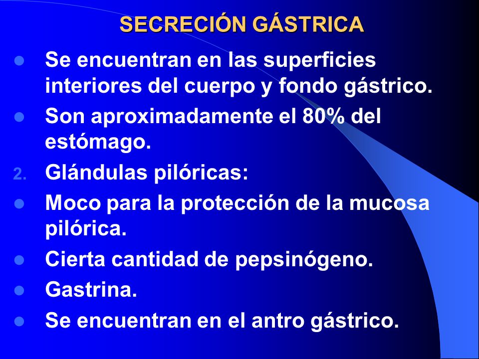 SECRECIÓN GÁSTRICA Se encuentran en las superficies interiores del cuerpo y fondo gástrico. Son aproximadamente el 80% del estómago.