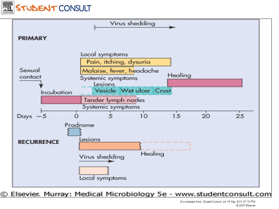 Downloaded from: StudentConsult (on 18 May :10 PM)
