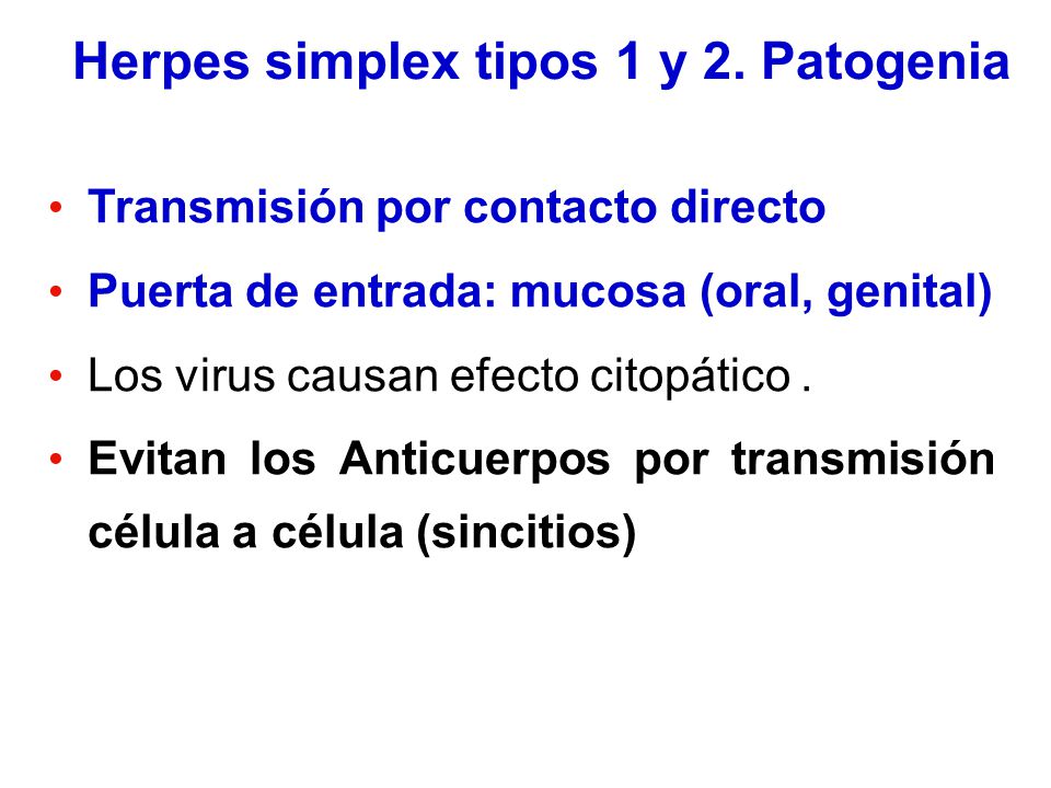Herpes simplex tipos 1 y 2. Patogenia