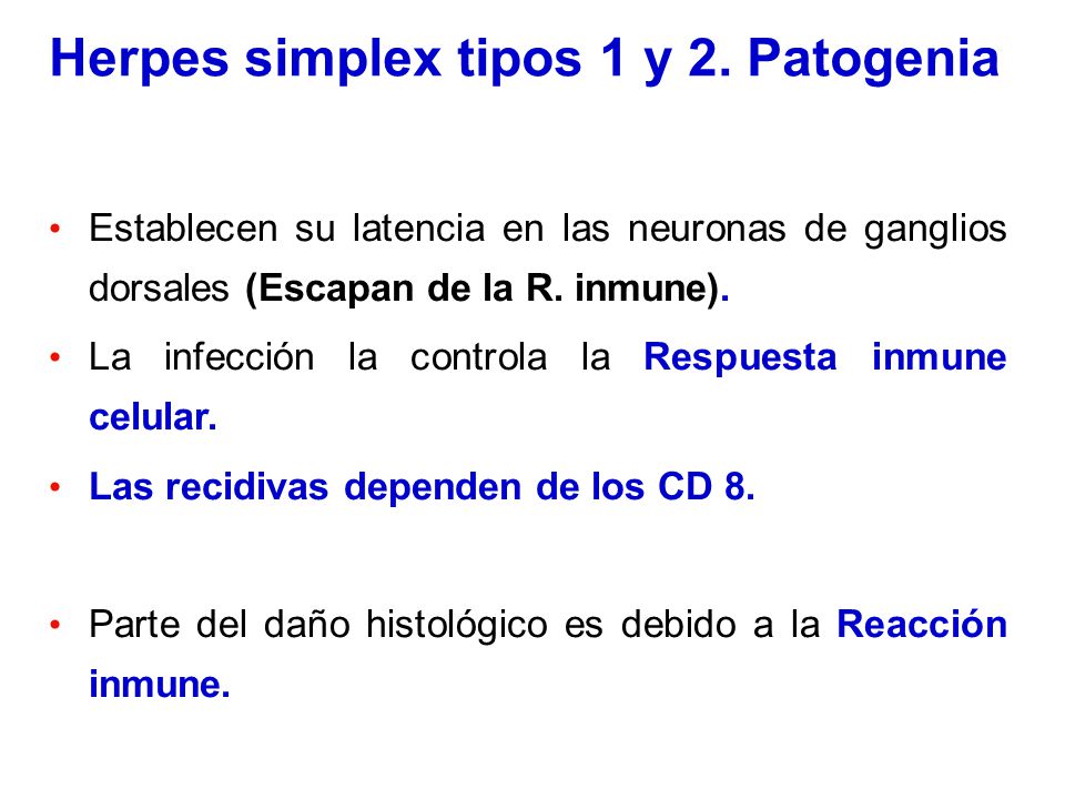 Herpes simplex tipos 1 y 2. Patogenia