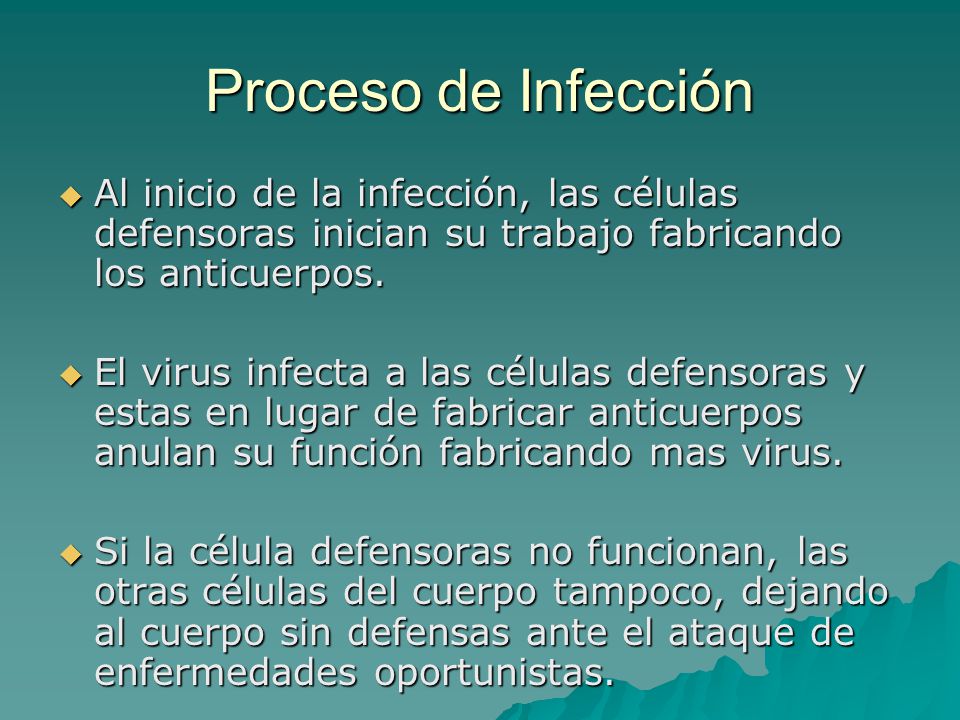 Proceso de Infección Al inicio de la infección, las células defensoras inician su trabajo fabricando los anticuerpos.