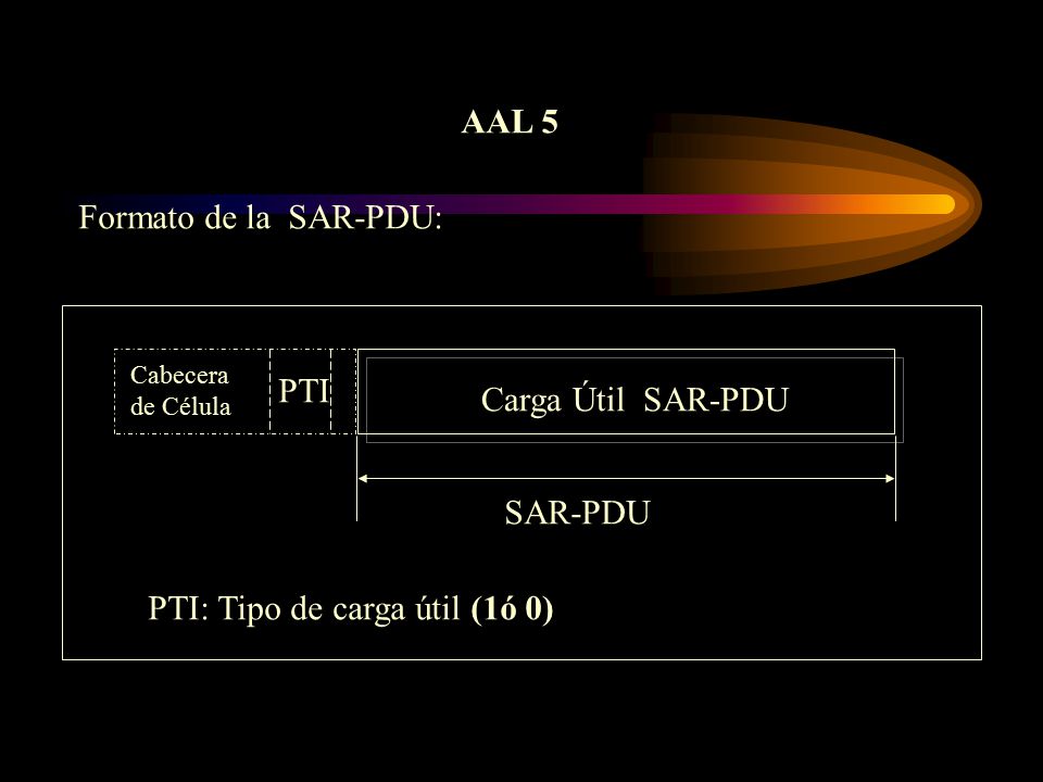 PTI: Tipo de carga útil (1ó 0)