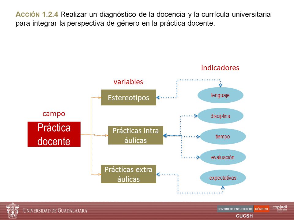 Práctica docente indicadores variables Estereotipos campo