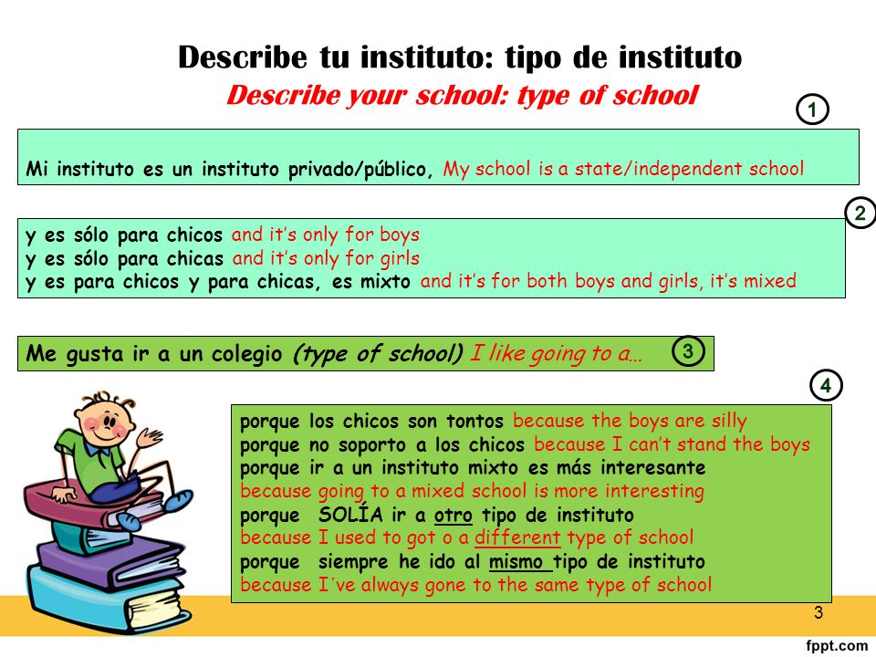 Describe tu instituto: tipo de instituto Describe your school: type of school