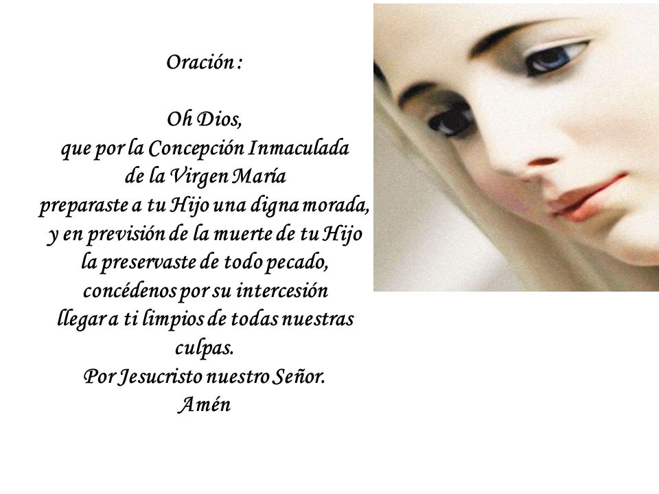que por la Concepción Inmaculada de la Virgen María