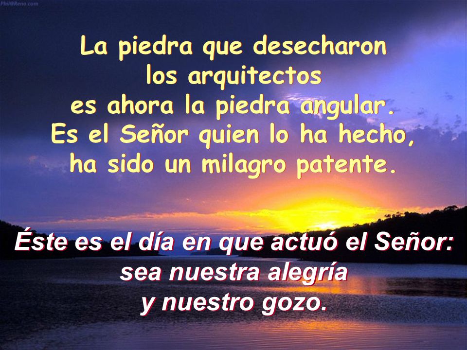 Éste es el día en que actuó el Señor: sea nuestra alegría