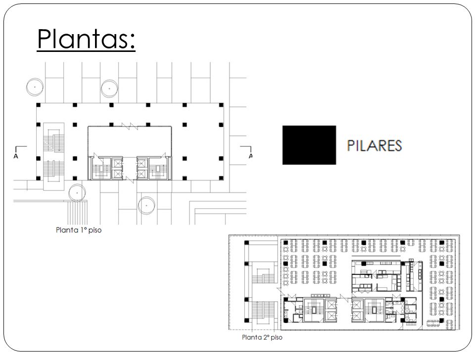 Plantas:
