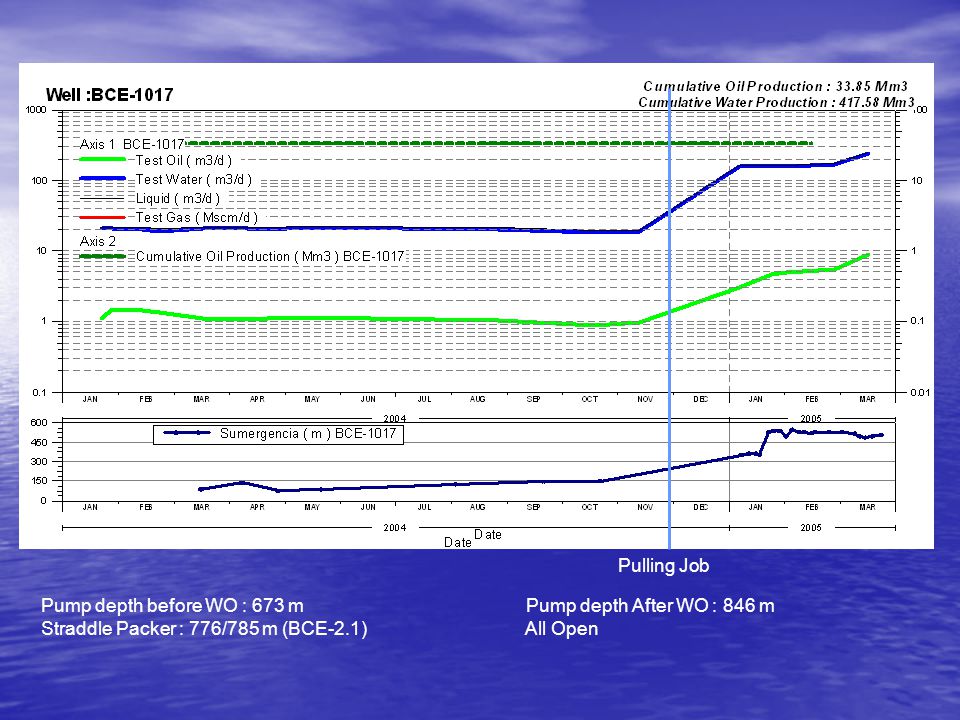 Pulling Job Pump depth before WO : 673 m Pump depth After WO : 846 m.