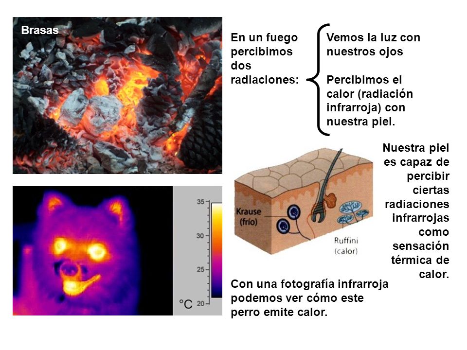 Brasas En un fuego percibimos dos radiaciones: Vemos la luz con nuestros ojos. Percibimos el calor (radiación infrarroja) con nuestra piel.
