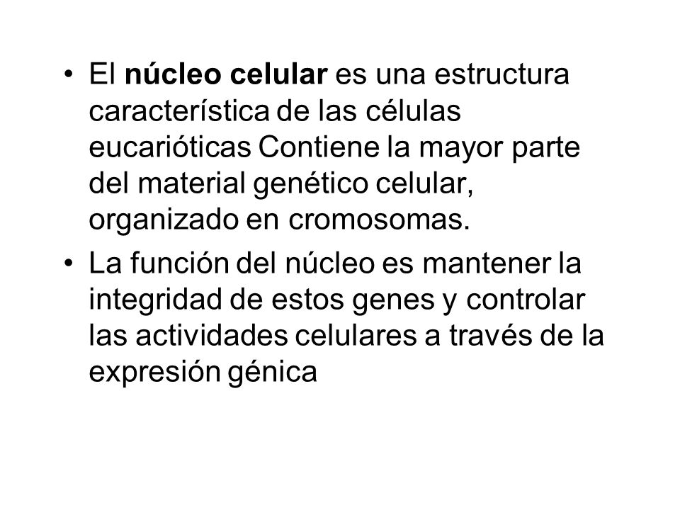 El núcleo celular es una estructura característica de las células eucarióticas Contiene la mayor parte del material genético celular, organizado en cromosomas.