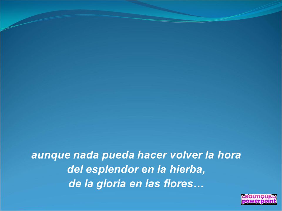 aunque nada pueda hacer volver la hora del esplendor en la hierba,