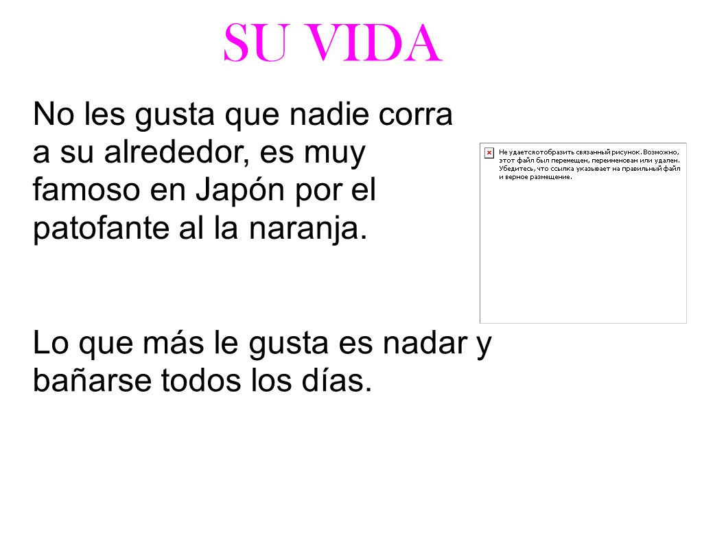 Lo que más le gusta es nadar y bañarse todos los días.