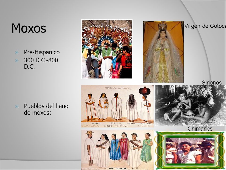 Moxos Pre-Hispanico 300 D.C.-800 D.C. Pueblos del llano de moxos:
