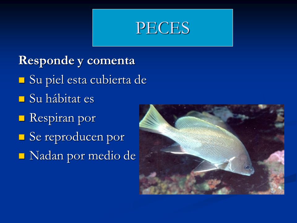PECES Responde y comenta Su piel esta cubierta de Su hábitat es