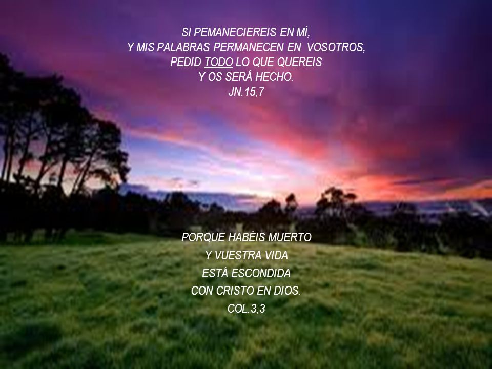 SI PEMANECIEREIS EN MÍ, Y MIS PALABRAS PERMANECEN EN VOSOTROS, PEDID TODO LO QUE QUEREIS Y OS SERÁ HECHO. JN.15,7