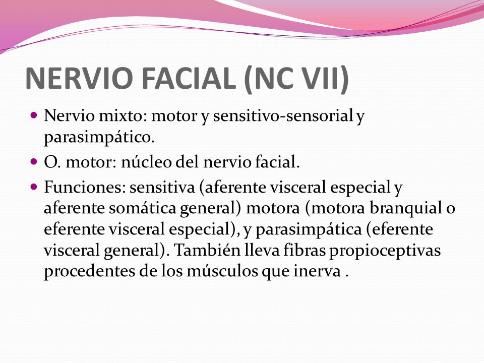 NERVIO FACIAL (NC VII) Nervio mixto: motor y sensitivo-sensorial y parasimpático. O. motor: núcleo del nervio facial.