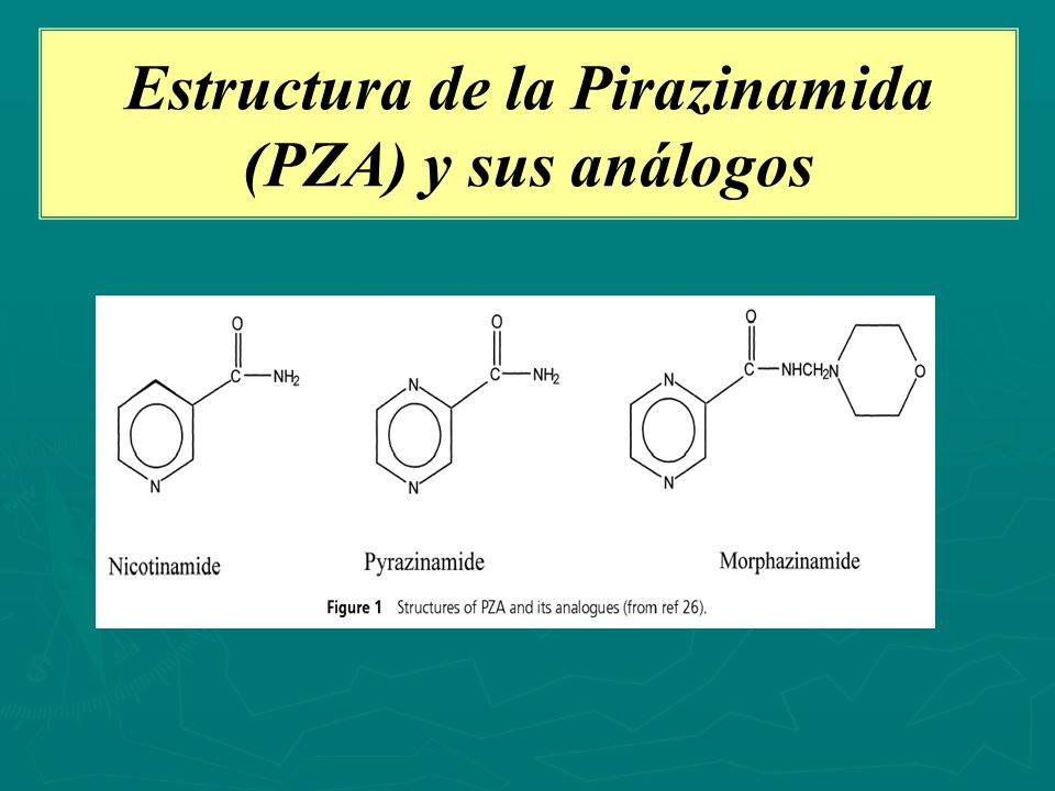 Estructura de la Pirazinamida (PZA) y sus análogos