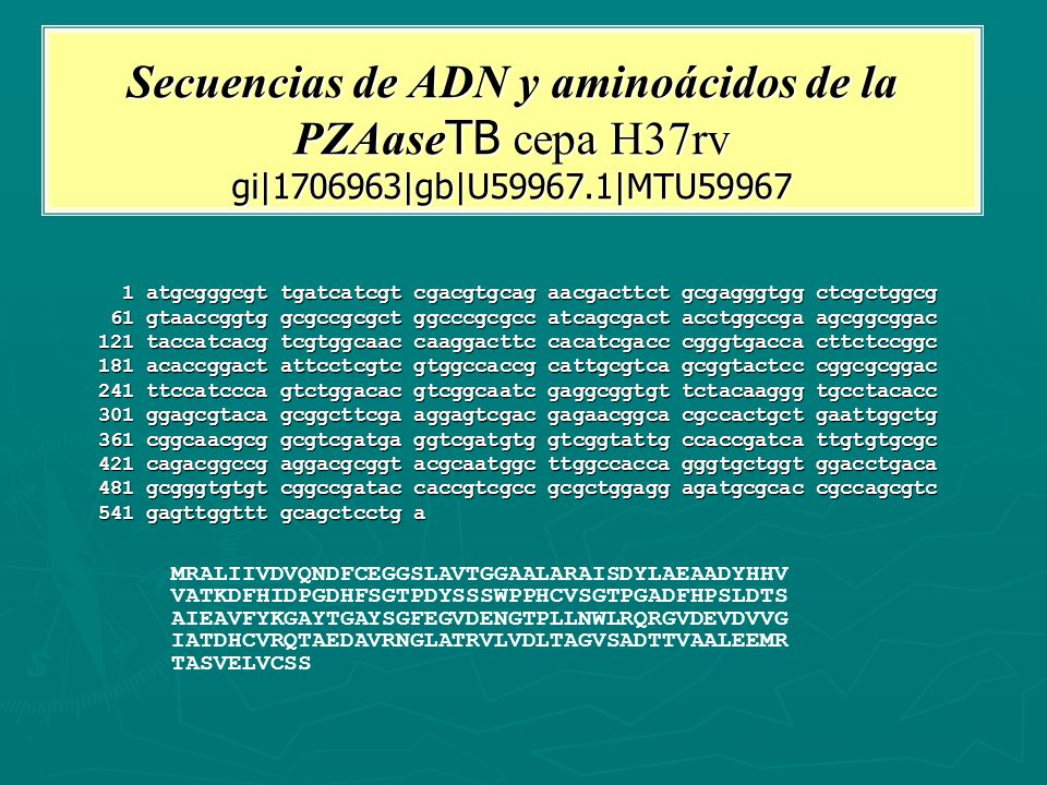 Secuencias de ADN y aminoácidos de la PZAaseTB cepa H37rv gi| |gb|U |MTU59967
