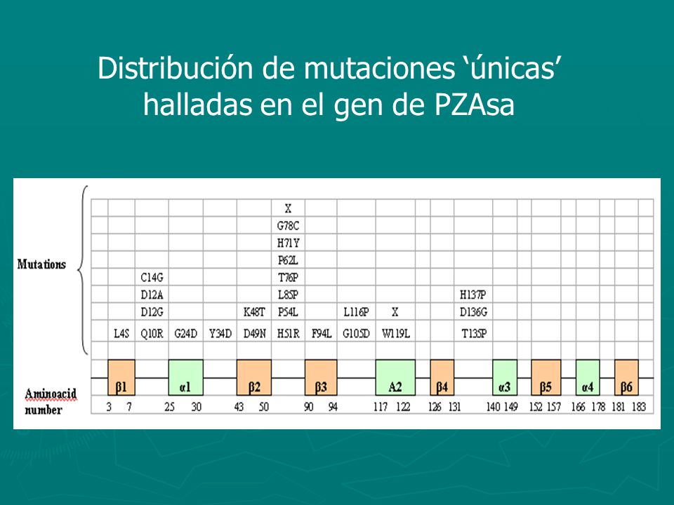 Distribución de mutaciones ‘únicas’ halladas en el gen de PZAsa