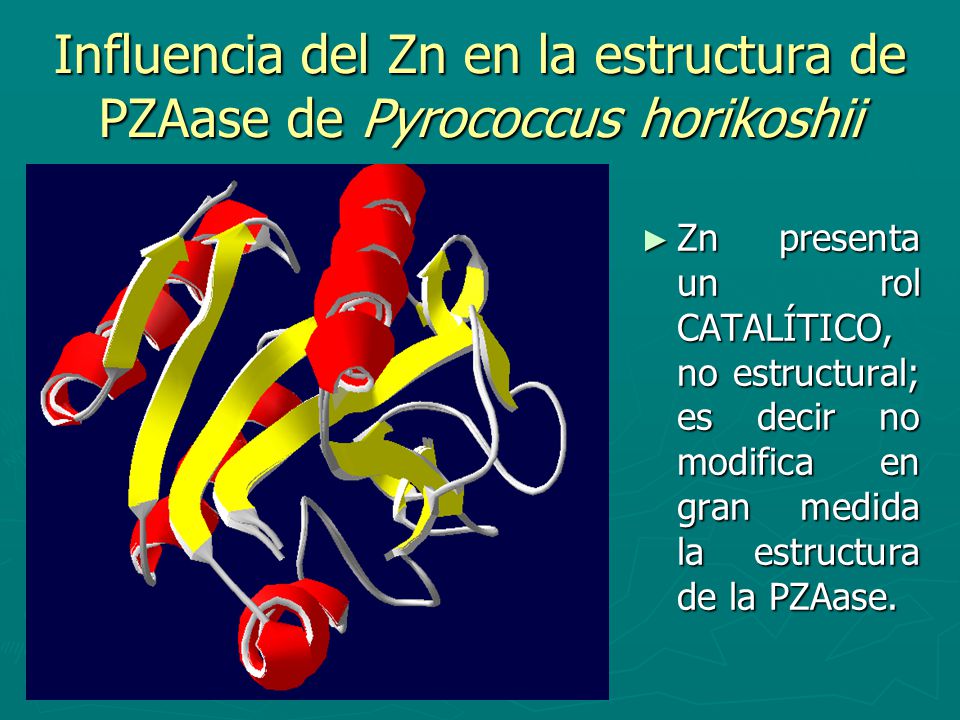 Influencia del Zn en la estructura de PZAase de Pyrococcus horikoshii