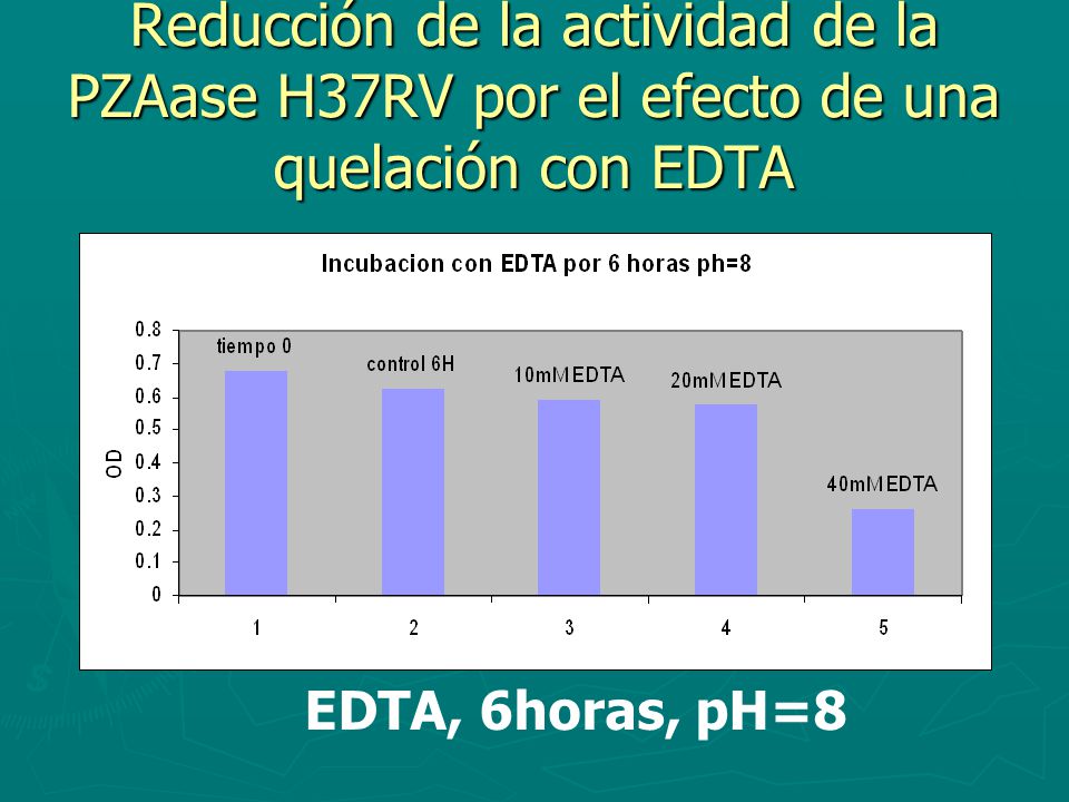 Reducción de la actividad de la PZAase H37RV por el efecto de una quelación con EDTA