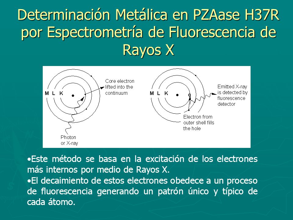 Determinación Metálica en PZAase H37R por Espectrometría de Fluorescencia de Rayos X