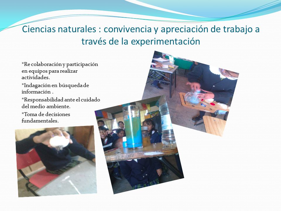 Ciencias naturales : convivencia y apreciación de trabajo a través de la experimentación