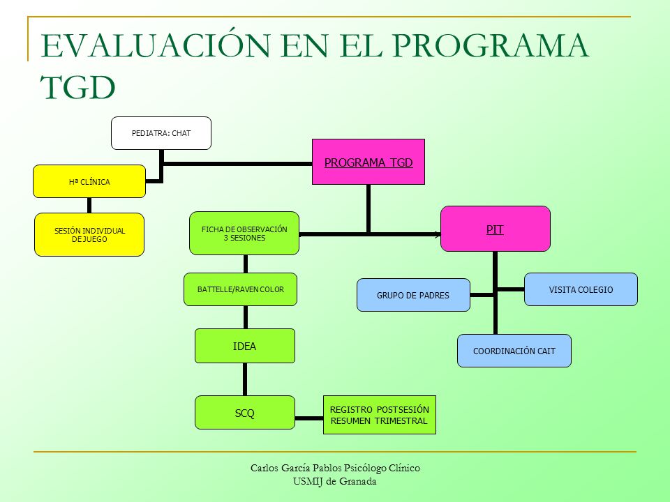 EVALUACIÓN EN EL PROGRAMA TGD