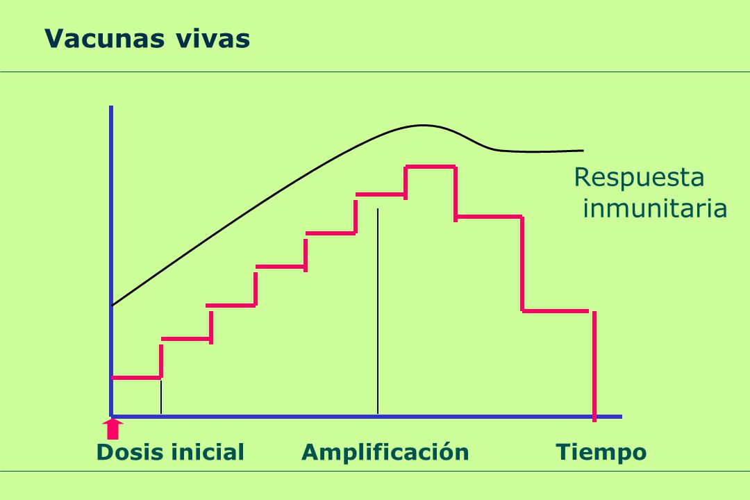Vacunas vivas Respuesta inmunitaria Dosis inicial Amplificación Tiempo