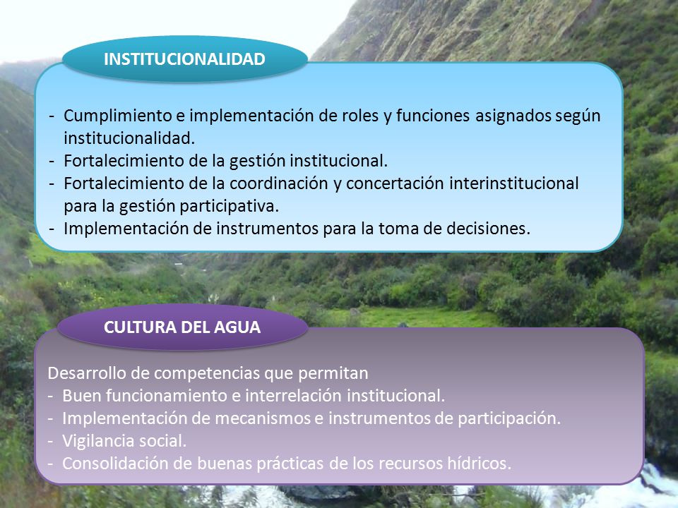 INSTITUCIONALIDAD Cumplimiento e implementación de roles y funciones asignados según institucionalidad.