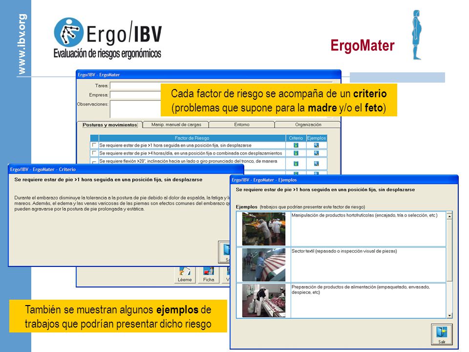 ErgoMater Cada factor de riesgo se acompaña de un criterio (problemas que supone para la madre y/o el feto)