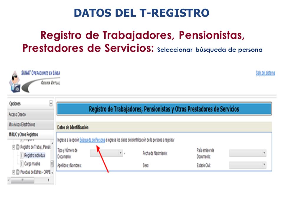 DATOS DEL T-REGISTRO Registro de Trabajadores, Pensionistas, Prestadores de Servicios: Seleccionar búsqueda de persona.