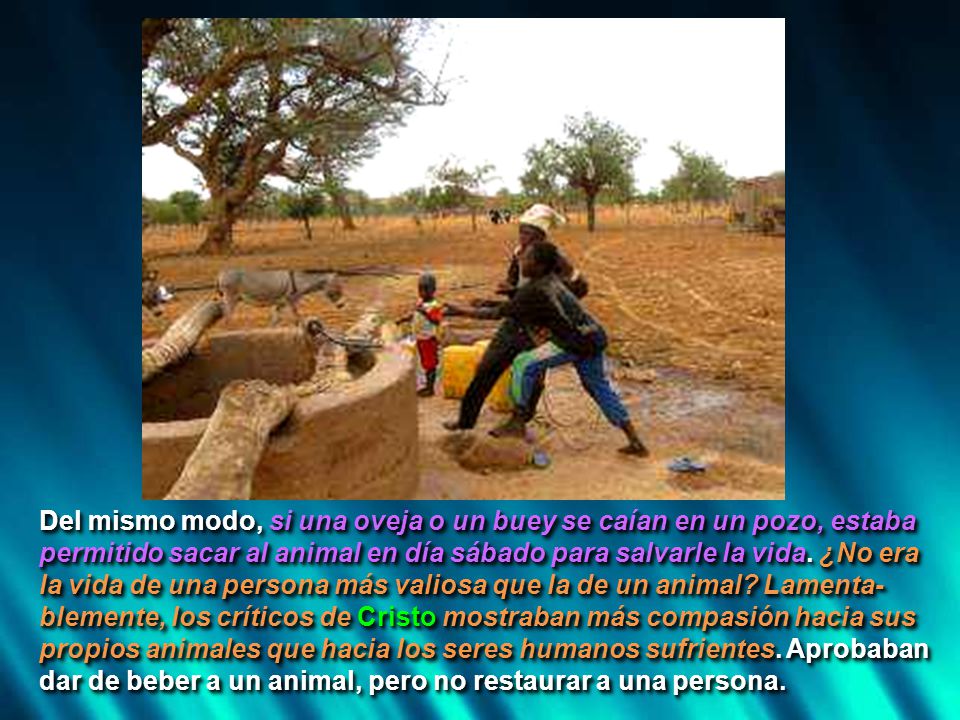 Del mismo modo, si una oveja o un buey se caían en un pozo, estaba permitido sacar al animal en día sábado para salvarle la vida.