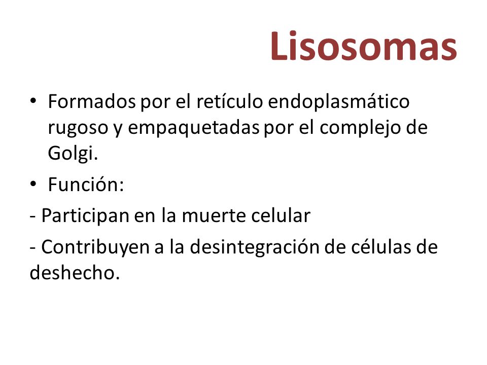 Lisosomas Formados por el retículo endoplasmático rugoso y empaquetadas por el complejo de Golgi. Función: