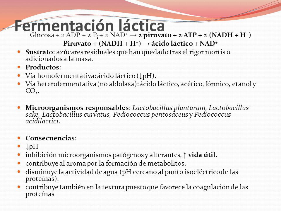 Fermentación láctica Glucosa + 2 ADP + 2 Pi + 2 NAD+ → 2 piruvato + 2 ATP + 2 (NADH + H+) Piruvato + (NADH + H+) → ácido láctico + NAD+