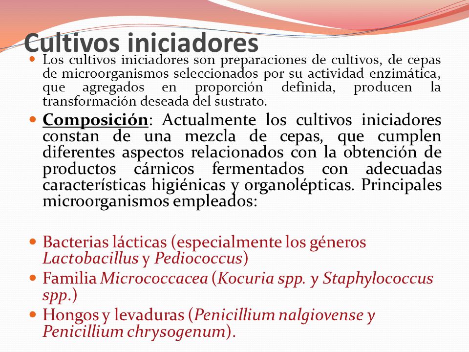Cultivos iniciadores