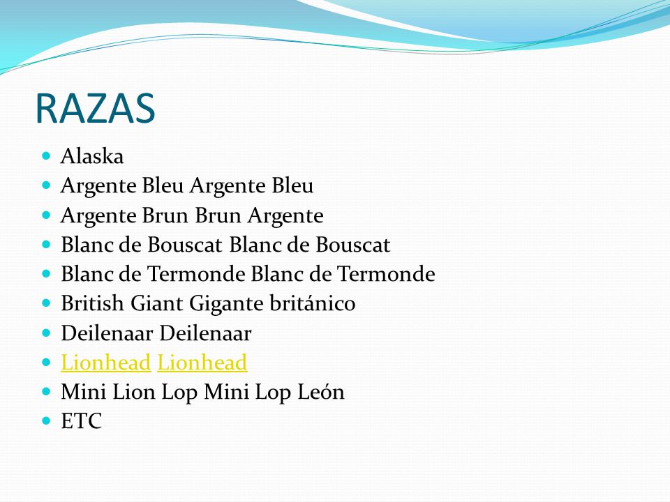 RAZAS Alaska Argente Bleu Argente Bleu Argente Brun Brun Argente