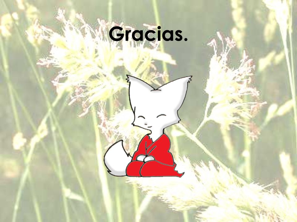 Gracias.