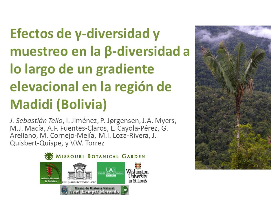 Efectos de γ-diversidad y muestreo en la β-diversidad a lo largo de un gradiente elevacional en la región de Madidi (Bolivia)