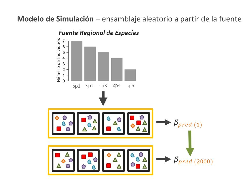 Modelo de Simulación – ensamblaje aleatorio a partir de la fuente