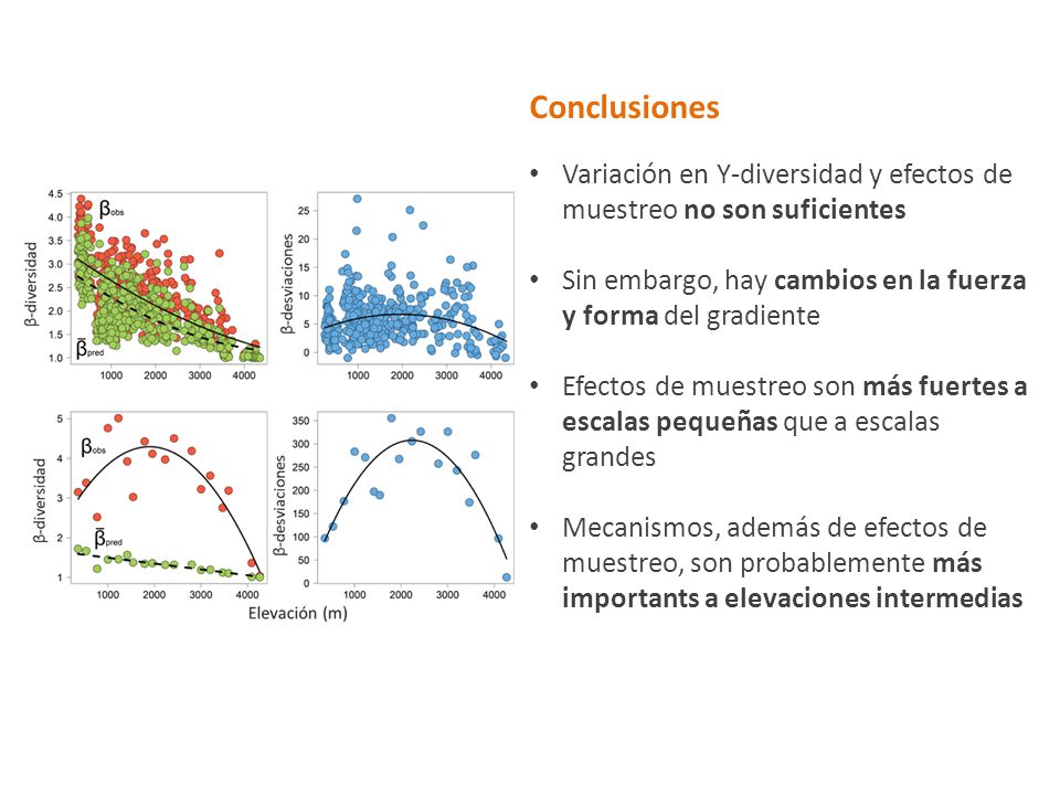 Conclusiones Variación en Υ-diversidad y efectos de muestreo no son suficientes. Sin embargo, hay cambios en la fuerza y forma del gradiente.