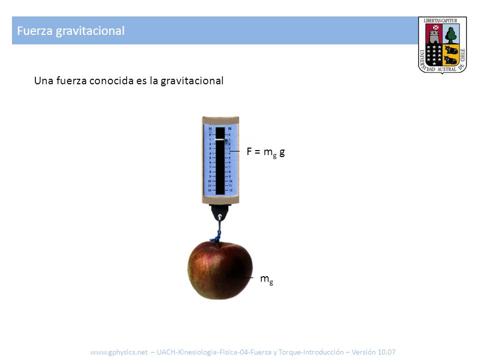 Fuerza gravitacional Una fuerza conocida es la gravitacional F = mg g
