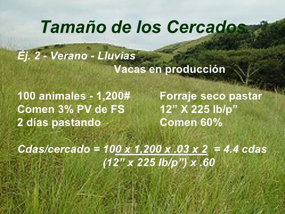 Tamaño de los Cercados Ej. 2 - Verano - Lluvias Vacas en producción