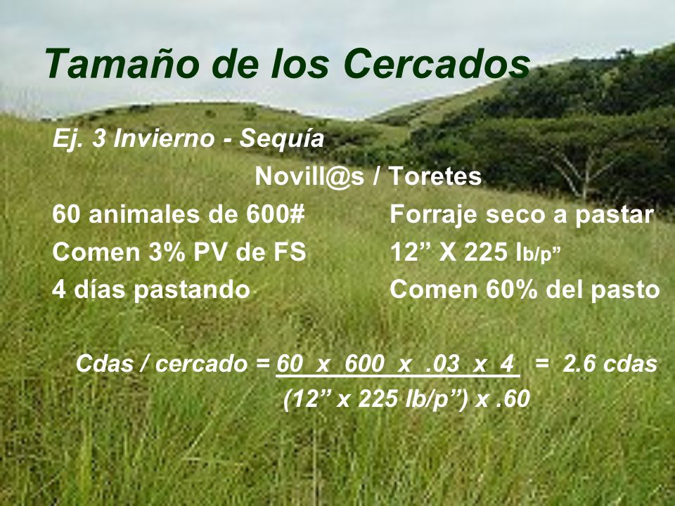 Cdas / cercado = 60 x 600 x .03 x 4 = 2.6 cdas