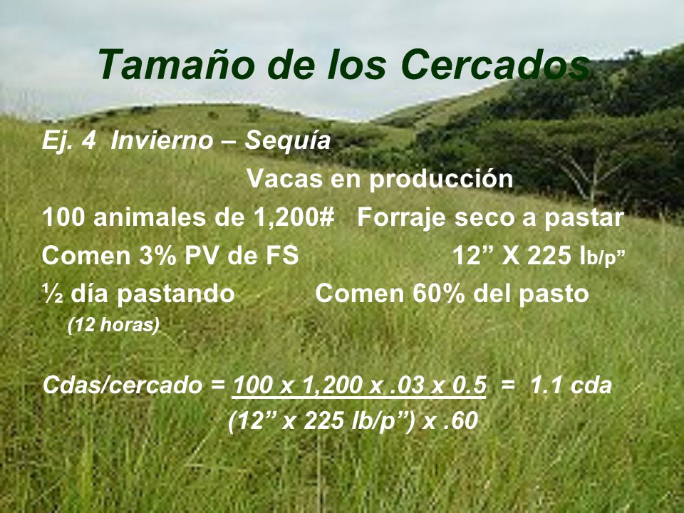 Tamaño de los Cercados Ej. 4 Invierno – Sequía Vacas en producción