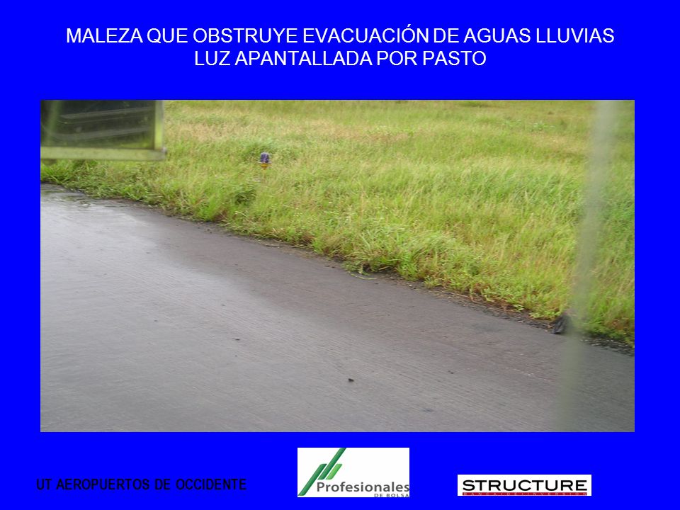 MALEZA QUE OBSTRUYE EVACUACIÓN DE AGUAS LLUVIAS LUZ APANTALLADA POR PASTO