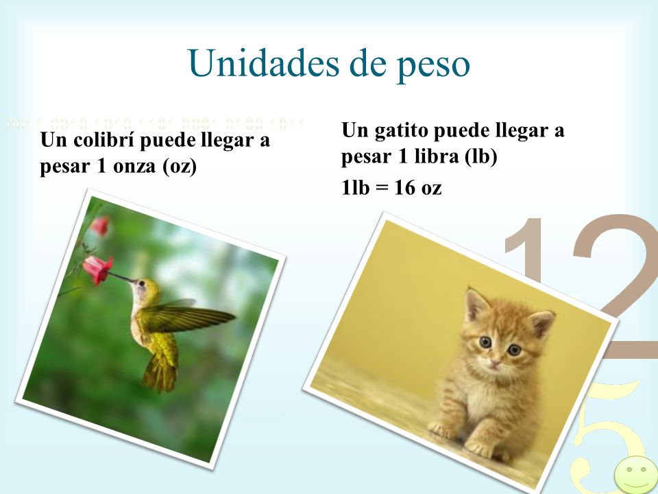 Unidades de peso Un gatito puede llegar a pesar 1 libra (lb)