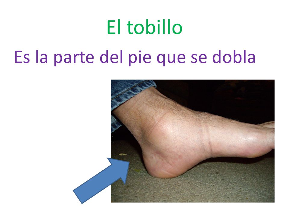 El tobillo Es la parte del pie que se dobla