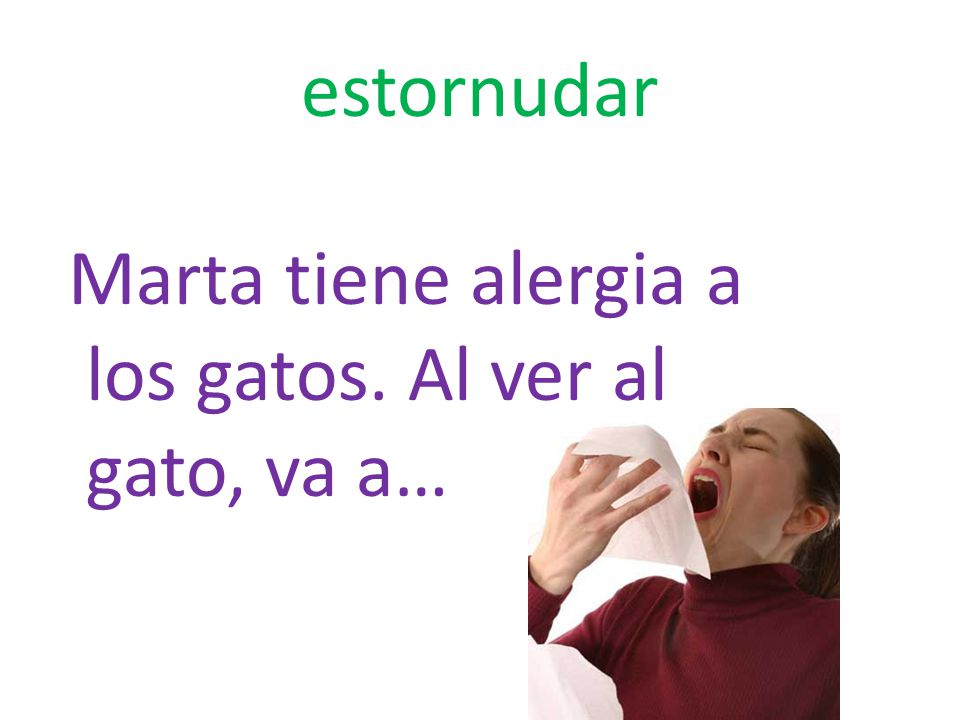 estornudar Marta tiene alergia a los gatos. Al ver al gato, va a…